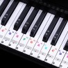 88 keys - Colourful piano notes - transparent keyboard stickersPiano