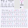 88 keys - Colourful piano notes - transparent keyboard stickersPiano