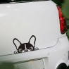 Impermeável - adesivo de carro de vinil com cara de um cão