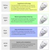 7 colors LED electric face and neck mask - acne treatment - light therapySkin