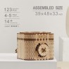 Criativo DIY - caixa de tesouro 3D - quebra-cabeça de madeira - kit de montagem - 123 peças