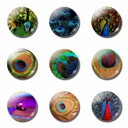 peacock refrigerator sticker - magnetic peafowls fridge magnet memo 30mm round glass gemstoneDecoration