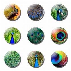 adesivo do refrigerador do pavão - peafowls magnéticos refrigerador memo 30mm gemstone de vidro redondo