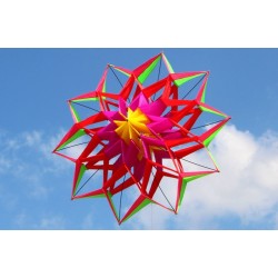 3D flower shape kite with handle and line - 150 cm diameterKites