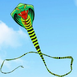 Gatinho de cobra grande - cobra - 15m