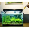 Aquário - Plantas - Fertilizante aquecida - Seringa Líquida - Tanque