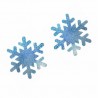 10 pares - Capas de mamilo - flocos de neve