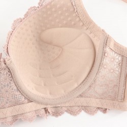 Sexy lace bra with push-upLingerie