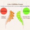 Anti-cellulite cream - fat burning - slimming - firming massage lotionSkin