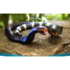 RC Cobra - cobra - USB - controle remoto - robô animal - brinquedo