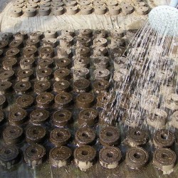 Peat pellets - seed nutrient soil - for transplanting / planting - 3 piecesGarden