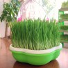 Plant germination tray - portable - moisture proof - plastic planting boxGarden