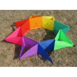 Estrela de cinco pontas - papagaio colorido