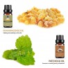 Óleos essenciais para difusor / umidificador / massagem / aromaterapia - 10ml - 16 peças