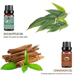 Óleos essenciais para difusor / umidificador / massagem / aromaterapia - 10ml - 16 peças