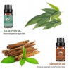 Óleos essenciais para difusor / umidificador / massagem / aromaterapia - 10ml - 16 peças