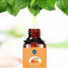 Óleos essenciais para difusor / umidificador / massagem / aromaterapia - 10ml - 16 peças