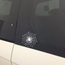 Aranha em uma teia de aranha - autocolante