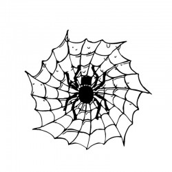 Aranha em uma teia de aranha - autocolante