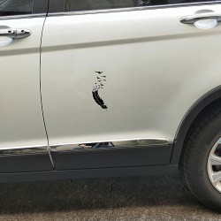 Pena com pássaros voadores - adesivo de carro de vinil