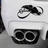 Bird feather - vinyl car stickerStickers