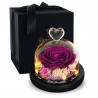 Preservado rosa eterna - caixa de vidro com luz - Dia dos Namorados / presente de casamento