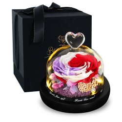 Preservado rosa eterna - caixa de vidro com luz - Dia dos Namorados / presente de casamento
