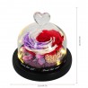 Preservado rosa eterna - caixa de vidro com luz - Dia dos Namorados / presente de casamento