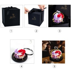 Preservado rosa eterna - caixa de vidro com luz - Dia dos Namorados / presente de casamento