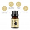 Óleo de aromaterapia de fragrância - difusor - massagem - banho - 10ml - 16 peças