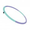 Smart Bluetooth hula hoop - calorie counting - somatosensory recognition - adjustable loop - LED displayEquipment