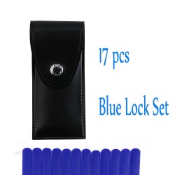 Transparent locksmith set - locks - picks - keys