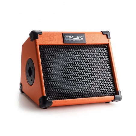 Music amplifier - outdoor speaker - for guitars / electric guitars
