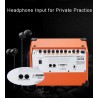 Music amplifier - outdoor speaker - for guitars / electric guitars