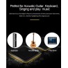 Music amplifier - outdoor speaker - for guitars / electric guitars