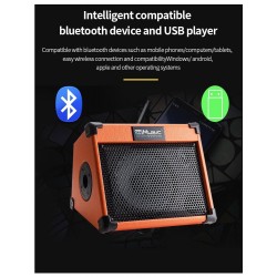 Music amplifier - outdoor speaker - for guitars / electric guitars