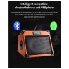 Music amplifier - outdoor speaker - for guitars / electric guitars