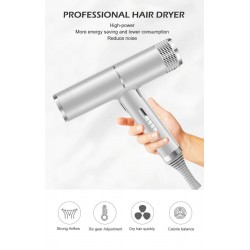 Professional hair dryer- ionic - grey - 220VHair