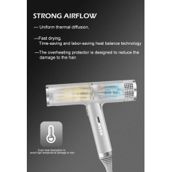 Professional hair dryer- ionic - grey - 220VHair