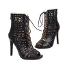 Sexy high heels pumps - ankle length - open toe - lace-up - with a back zipperHigh heels