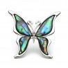 Borboleta com uma casca colorida - um broche de metal