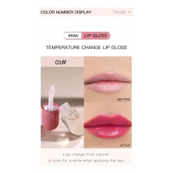 Mini capsule - lip gloss - color change under the influence of temperature - watery velvety textureLipsticks