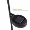 Frog shaped garden lamp - solar - waterproof