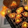 Fruits slices shaped string light - battery powered / USB - lemon / lime / orangeLights & lighting