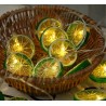 Fruits slices shaped string light - battery powered / USB - lemon / lime / orangeLights & lighting