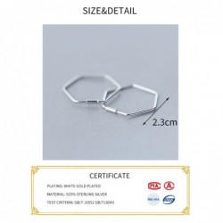 Pentagon earrings - geometric hyperbole - 925 sterling silverEarrings