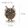 Retro big eyes owl - brooch with crystal decorations