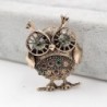 Retro big eyes owl - brooch with crystal decorations
