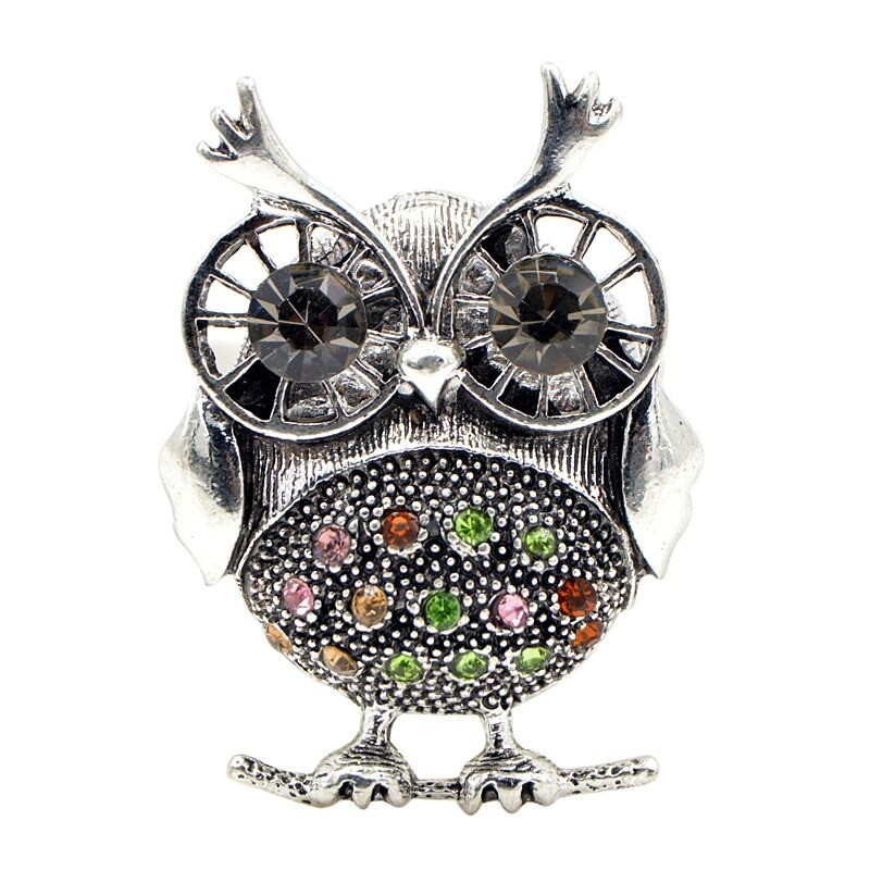 Retro big eyes owl - brooch with crystal decorations