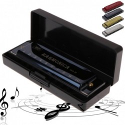 Harmonica - 10 holes - key C - musical instrument - with caseHarmonica